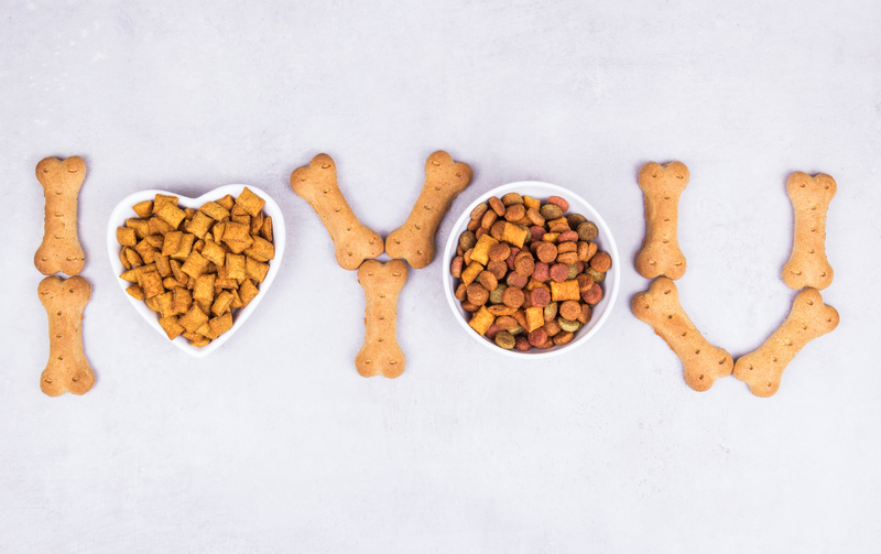 Guide on Making Your Pet Snack into a Premium Brand