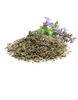 Natural Catnip